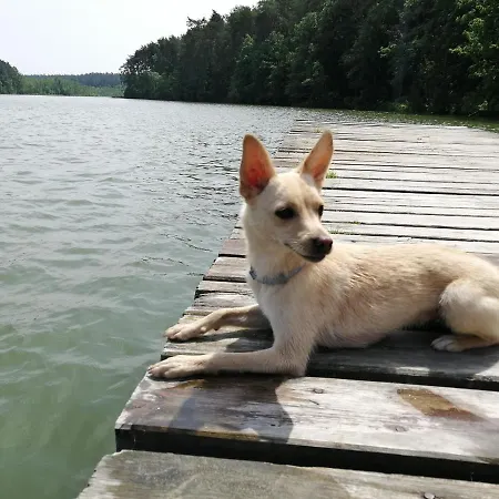 Twój Kącik Сasa de vacaciones Kurzetnik