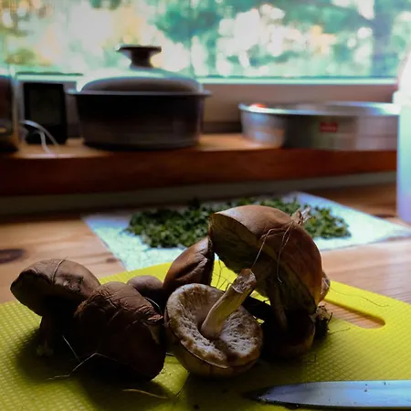 Twoj Kacik 度假居 库尔泽尼克