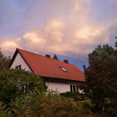 Twoj Kacik
