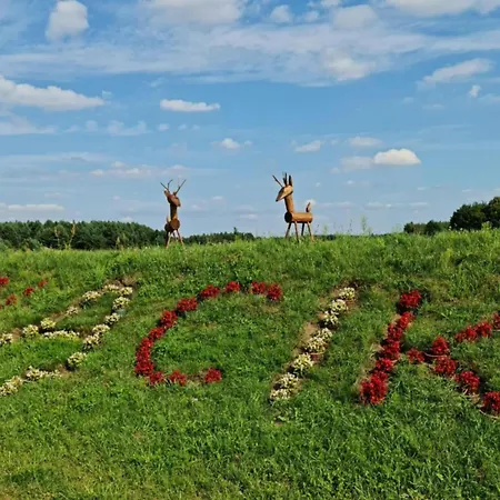 Twoj Kacik Kurzętnik