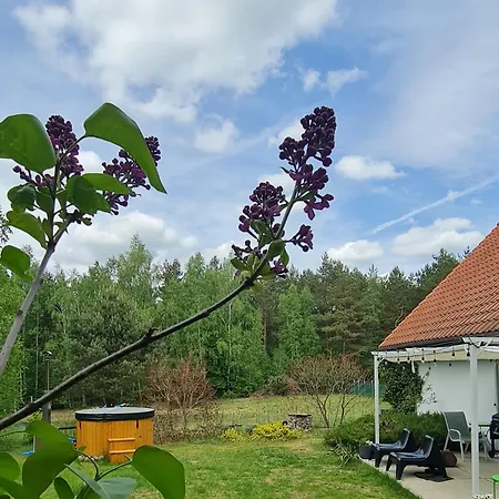 Twój Kącik Kurzetnik